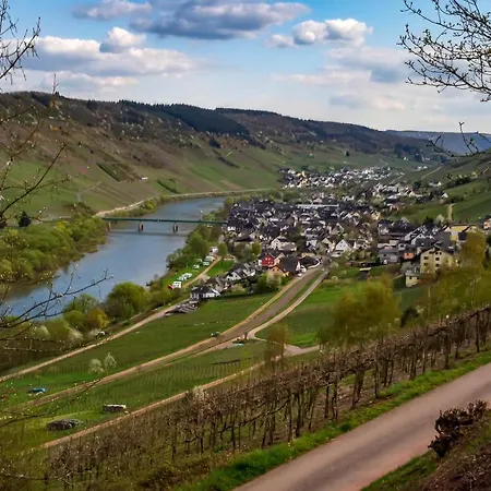 Weinhaus Burg-schneider