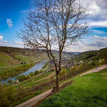 Ξενοδοχείο Weinhaus Burg-schneider *