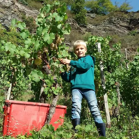 Ξενοδοχείο Weinhaus Burg-schneider