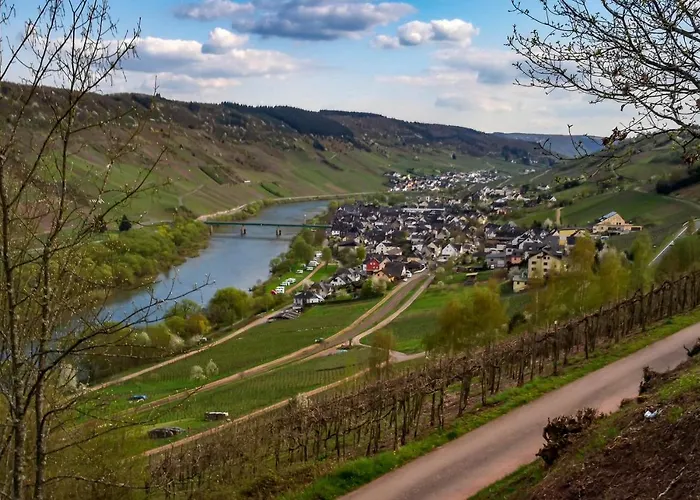 Weinhaus Burg-schneider