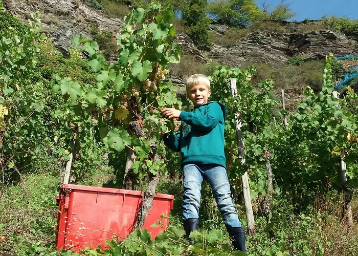 Hotel Weinhaus Burg-schneider